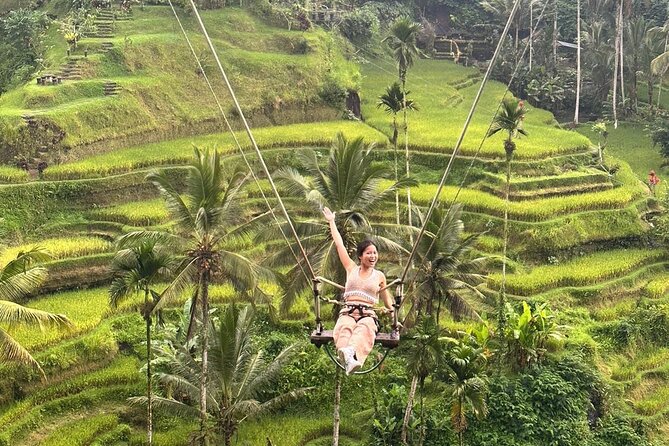 Ubud Wonderful Day Tour - Tegalalang Rice Terrace: views plus irrigation context