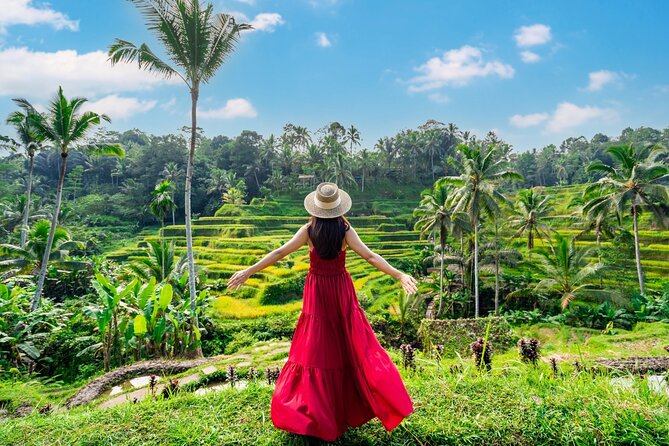 Ultimate Ubud Experience All Inclusive Private Day Tour - Key highlights in plain English
