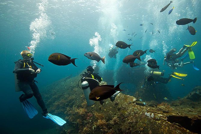 USS Liberty Shipwreck Scuba Diving at Tulamben Bali - The USS Liberty Wreck Off Tulamben: Why This Stop Matters