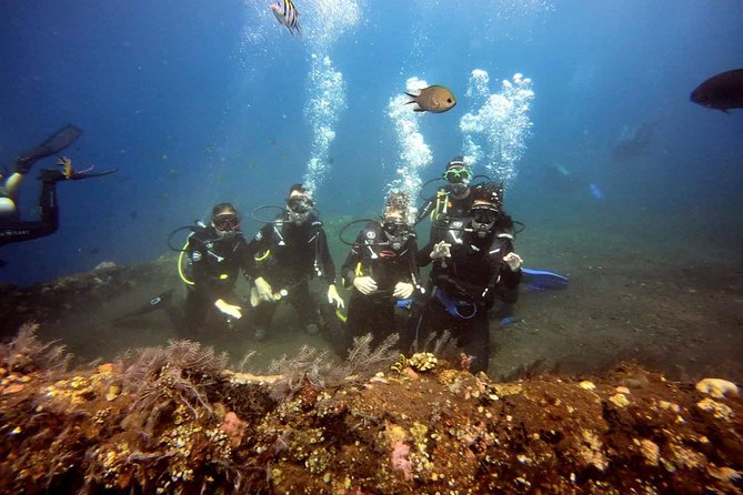 USS Liberty Shipwreck Scuba Diving at Tulamben Bali - How the Day Flows: Two Guided Underwater Sessions + Lunch Reset