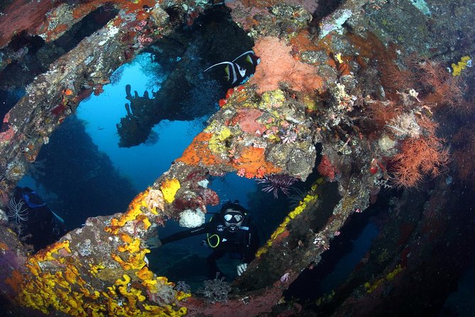 USS Liberty Shipwreck Scuba Diving at Tulamben Bali - Second Underwater Session at the Liberty: Macro Targets and Fish “Rooms”