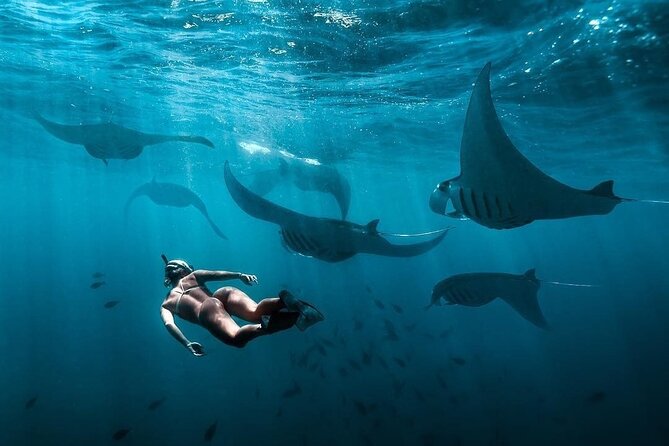 VIP Private Boat to Nusa Penida: Snorkeling with Mantas + Land Tour Adventure - Snorkeling around Nusa Penida: manta bay plus multiple reef stops