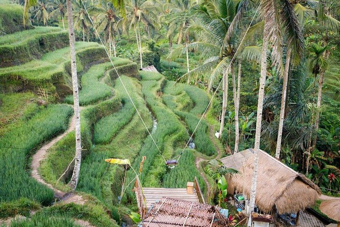 Water Rafting adventure with Jungle Swing & rice terraces - Tegalalang Rice Terrace Stop: A Cool-Down Before the Rapids
