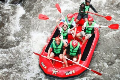 Water Rafting adventure with Jungle Swing & rice terraces - Happy Swing Bali: The Jungle Swing Stop That Doesn’t Take Over Your Day