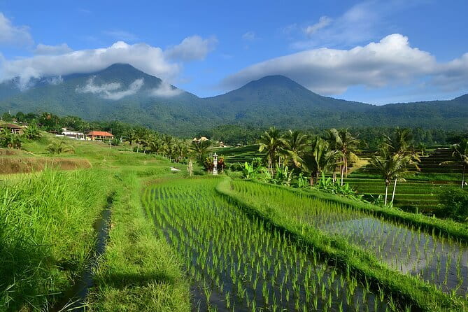 Waterfall Tour: North Bali Best Waterfalls - Weather, Shoes, and How to Avoid a Soggy Day