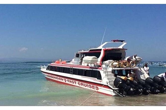 West Nusa Penida Full-Day Private Tour - West Nusa Penida private tour from Bali: the big picture