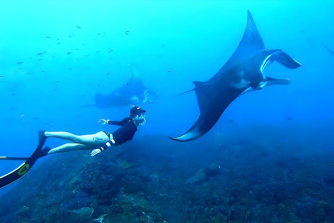 West Nusa Penida Island Snorkeling Tour - From Bali Island - Key highlights worth clocking