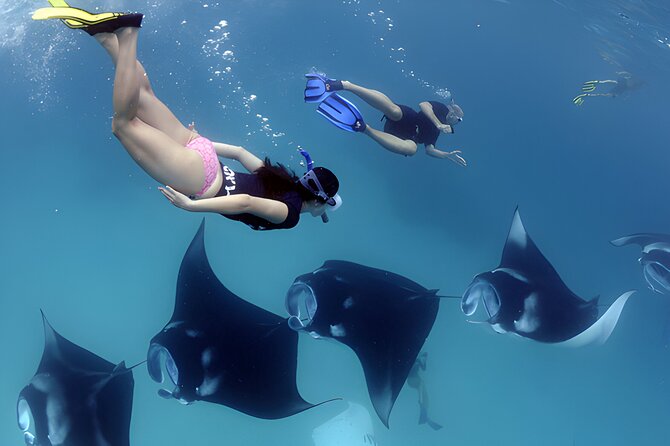 West Nusa Penida Island Snorkeling Tour - From Bali Island - Lunch, clothes, and camera setup for a long water-and-land day