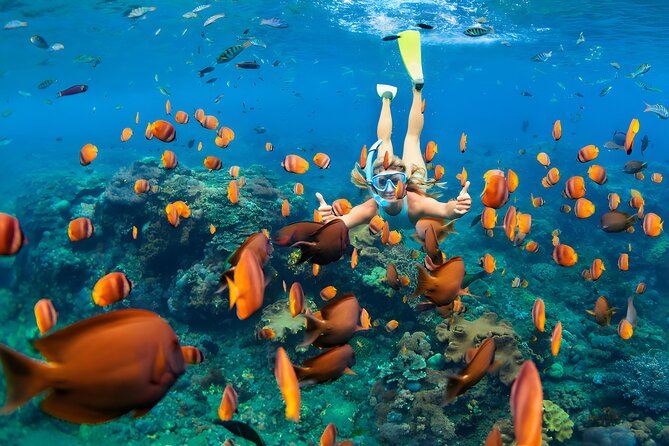 West Nusa Penida Island Snorkeling Tour - From Bali Island - Snorkel gear and the guide: why this matters on Penida