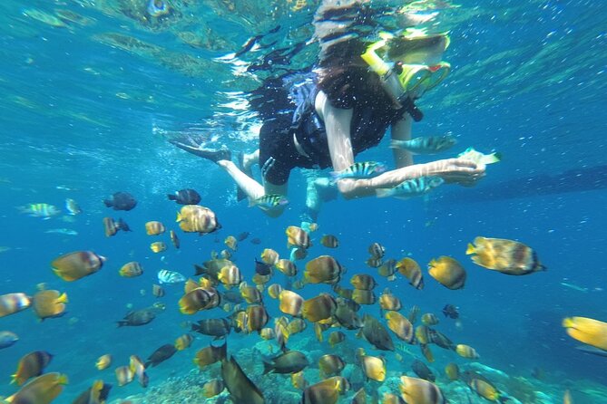 West Nusa Penida With Snorkeling Private Guided Tour - Key moments worth planning for