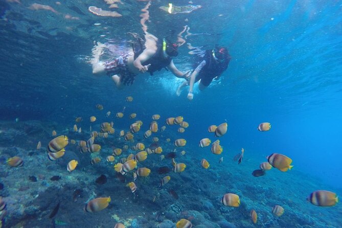 West Nusa Penida With Snorkeling Private Guided Tour - Getting to Nusa Penida: Seminyak pickup plus fast-boat priority