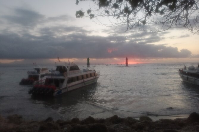 West Nusa Penida With Snorkeling Private Guided Tour - Lunch, young coconut, and making a long day feel doable