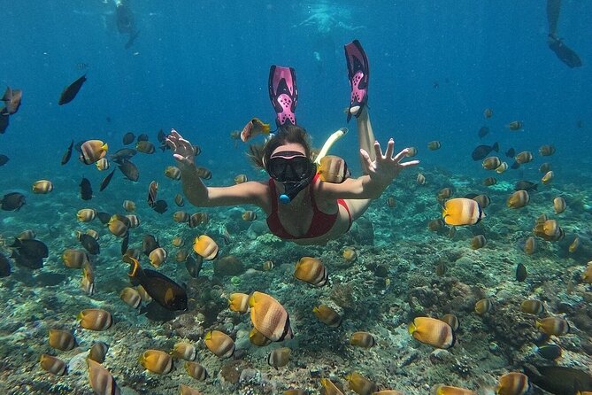 ️Nusa Penida by Private Boat - Snorkeling 4 spots, Swim with Mantas + Land Tour - Starting in Serangan: Coffee, Then Gear Up